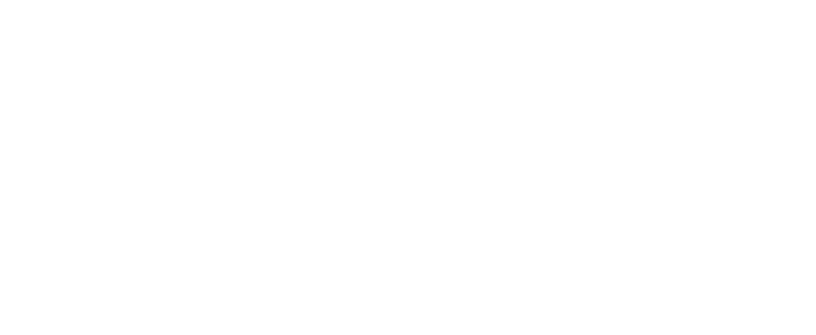 Opera Maine Logo